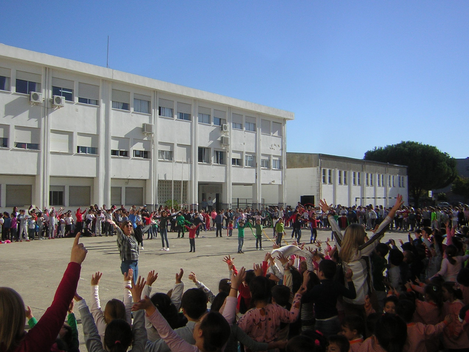 DSCN0732