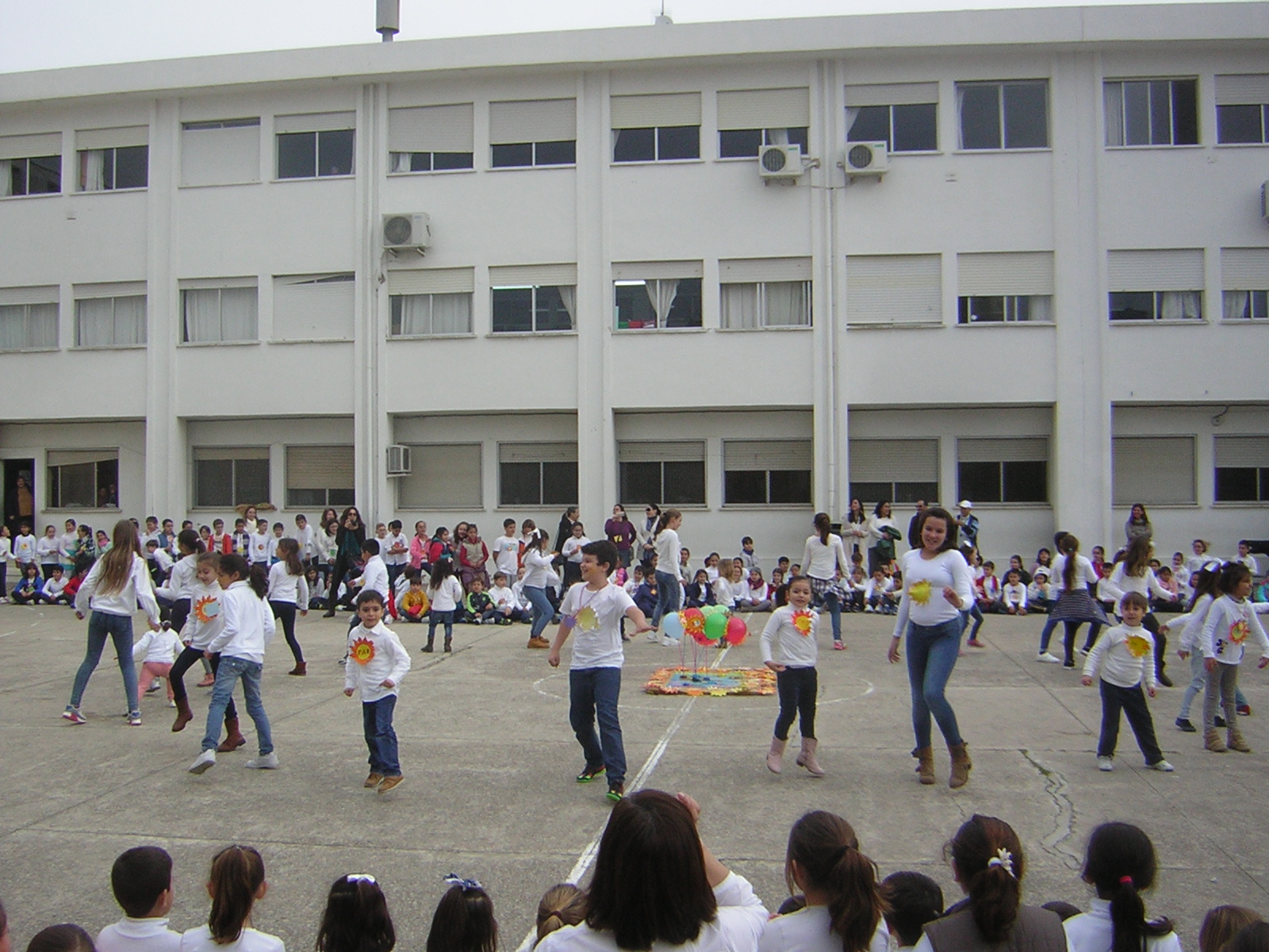 DSCN5323