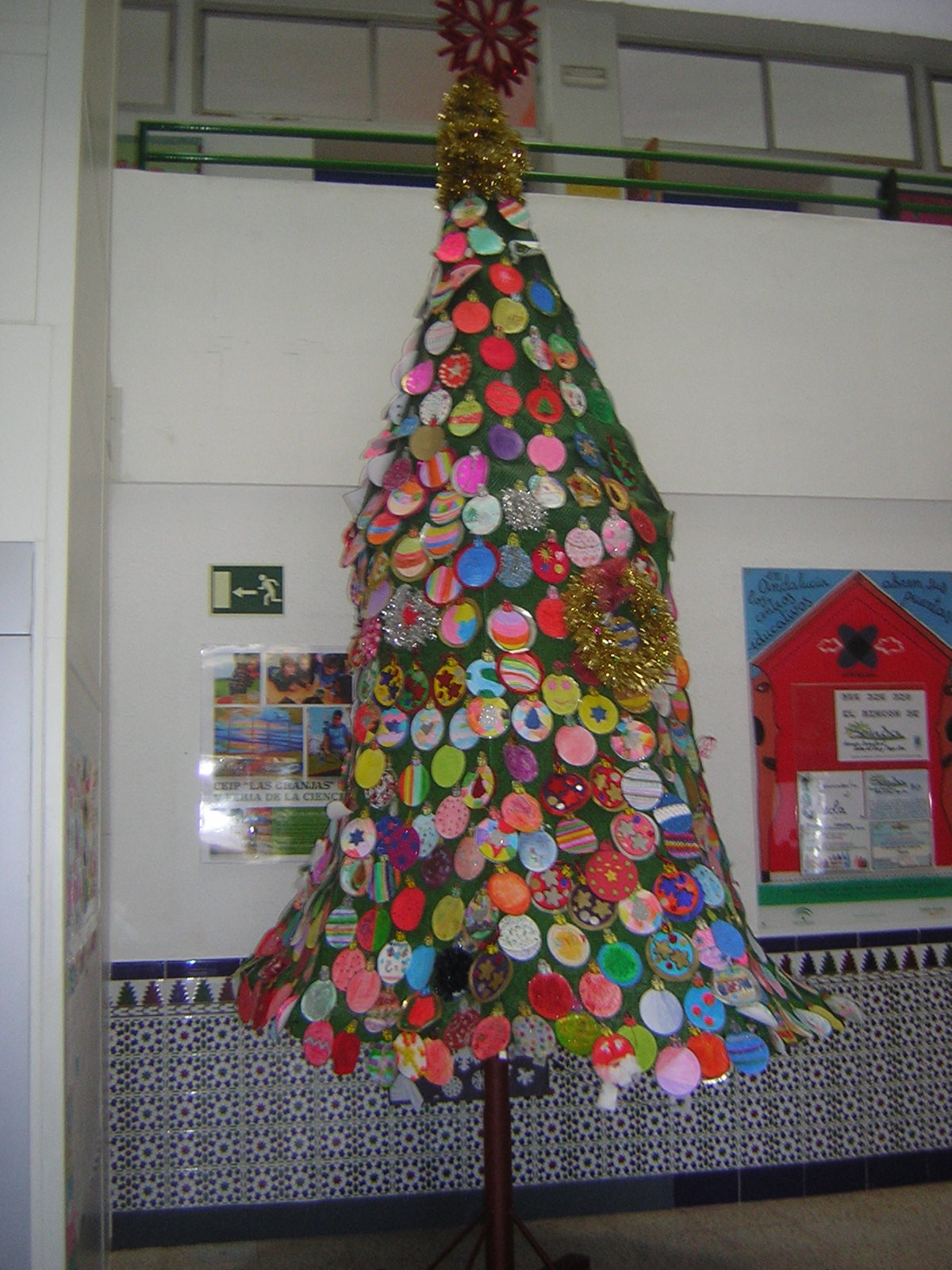 ARBOL